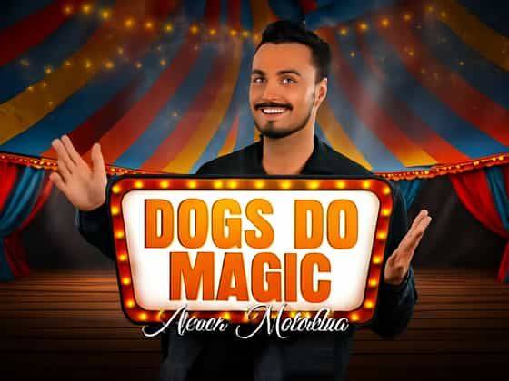 Dogs Do Magic